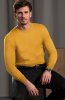 Pánský svetr BANDI, model GRECCIO Amber