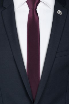 Pánská kravata BANDI, model GALLA slim 05