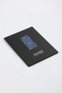 Pánský kapesníček BANDI, model GIRO 05