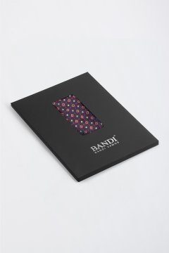 Pánský kapesníček BANDI, model MONSANO 04